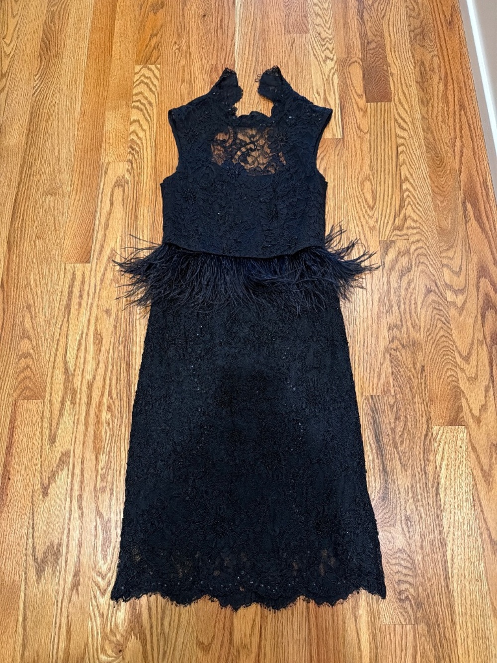 Alice + Olivia Black Lace Beaded Feather Dress